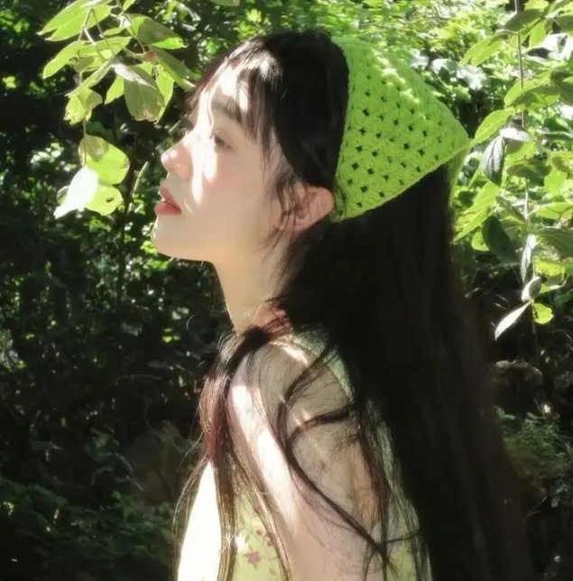 闪亮的歌声
